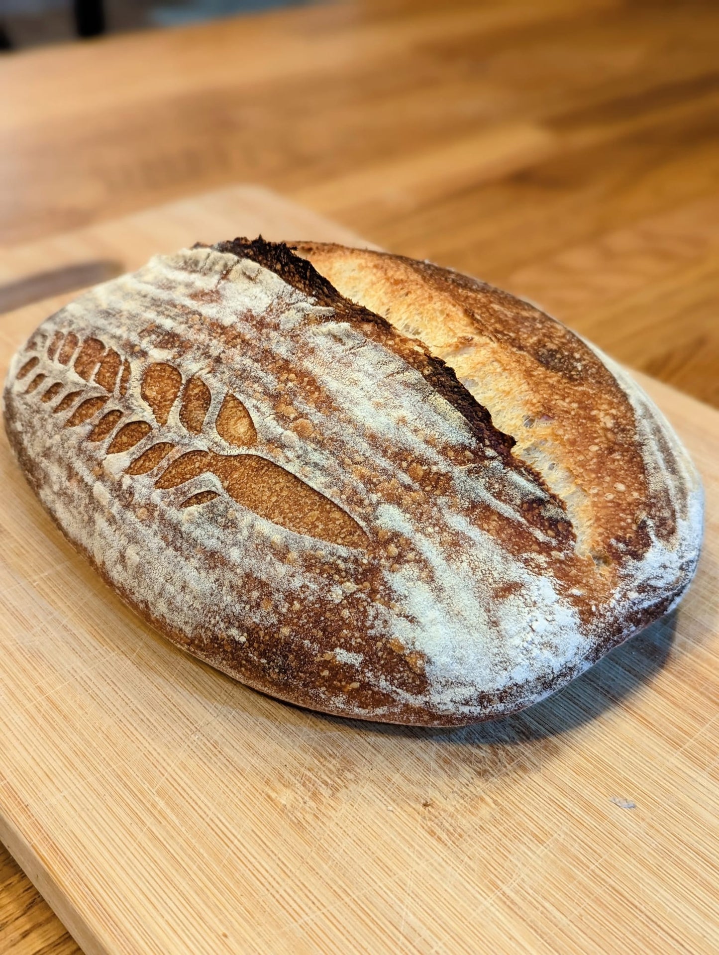 Plain Sourdough